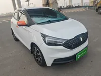 JMEV Ezi EV3 2023 (13900 км)