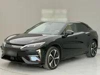BYD Song L EV 2024 (11600 км)