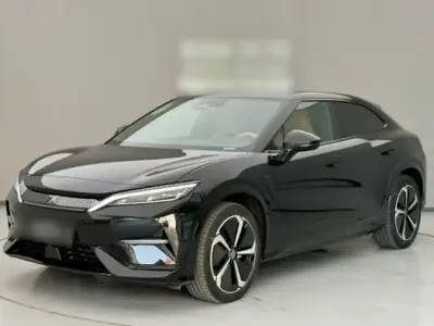 BYD Song L EV 2024 (11600 км)