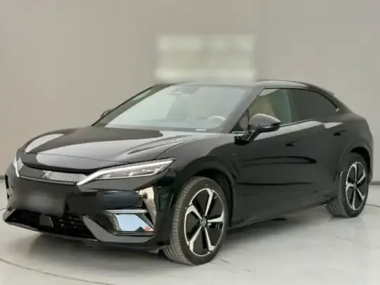 BYD Song L EV 2024 (11600 км)