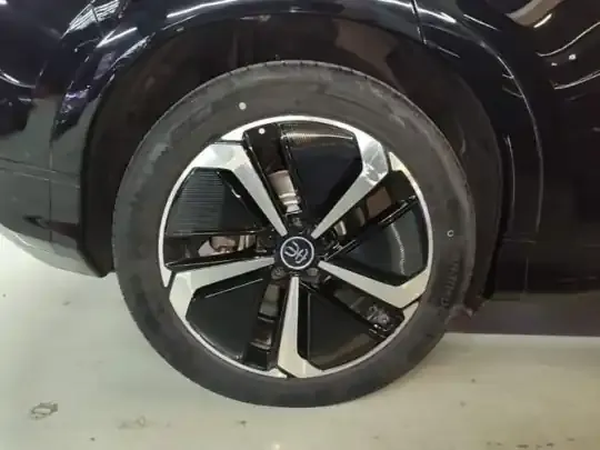 BYD Song L EV 2024 (11600 км)