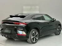 BYD Song L EV 2024 (11600 км)