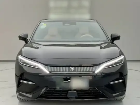 BYD Song L EV 2024 (11600 км)