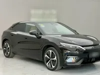 BYD Song L EV 2024 (11600 км)