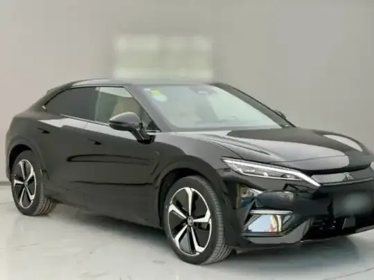 BYD Song L EV 2024 (11600 км)