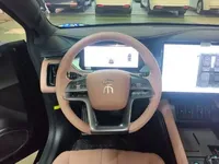 BYD Song L EV 2024 (11600 км)