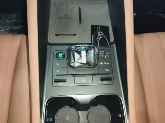BYD Song L EV 2024 (11600 км)
