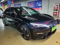 BYD Song L EV 2024 (11600 км)