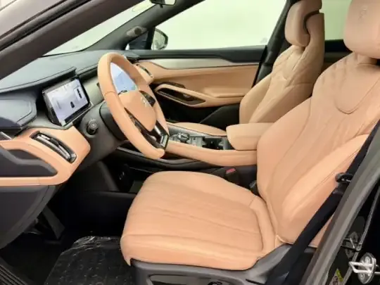 BYD Song L EV 2024 (11600 км)