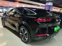 BYD Song L EV 2024 (11600 км)