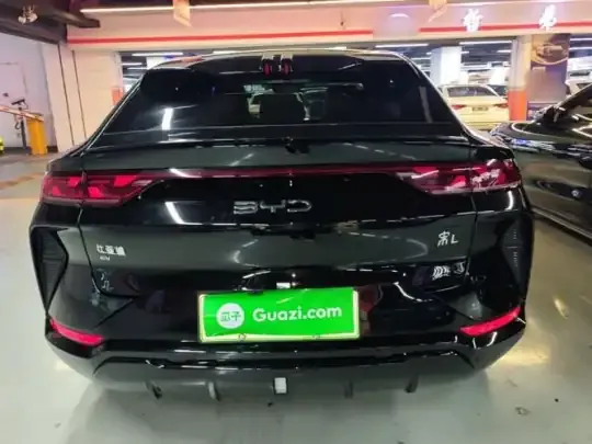 BYD Song L EV 2024 (11600 км)