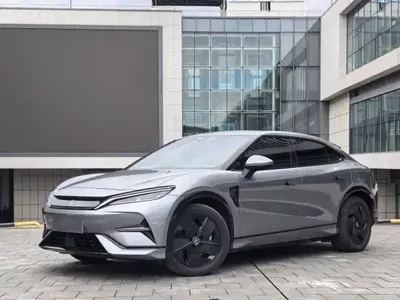 BYD Song L EV 2024 (19100 км)