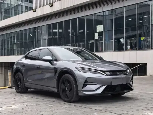 BYD Song L EV 2024 (19100 км)