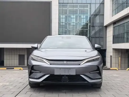 BYD Song L EV 2024 (19100 км)