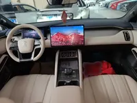 BYD Song L EV 2024 (50800 км)