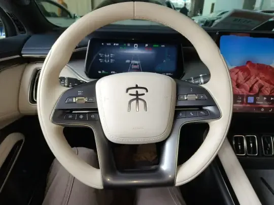 BYD Song L EV 2024 (50800 км)