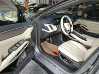 BYD Song L EV 2024 (50800 км)