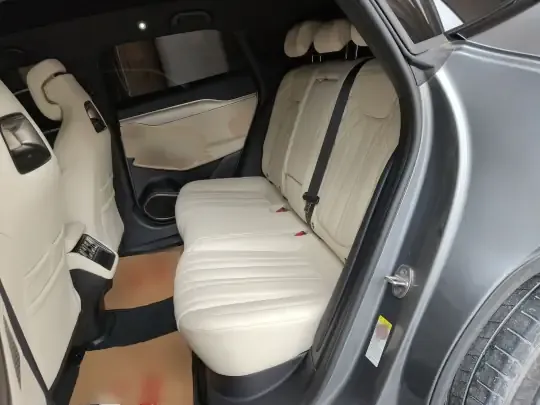 BYD Song L EV 2024 (50800 км)