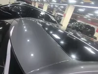 BYD Song L EV 2024 (4800 км)