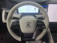 BYD Song L EV 2024 (4800 км)
