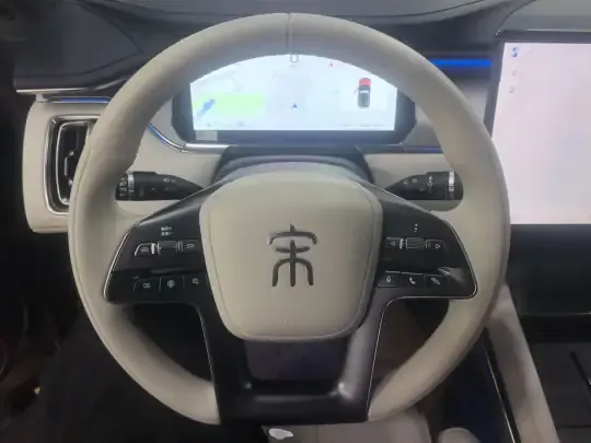 BYD Song L EV 2024 (4800 км)