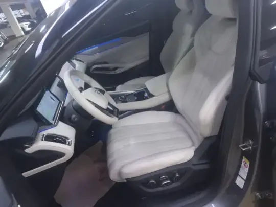BYD Song L EV 2024 (4800 км)