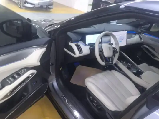 BYD Song L EV 2024 (4800 км)