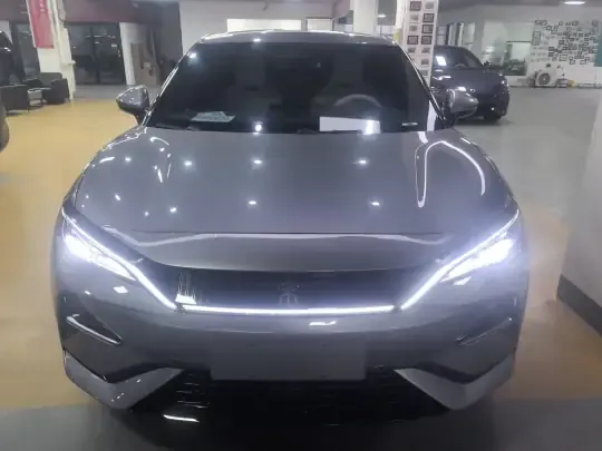 BYD Song L EV 2024 (4800 км)