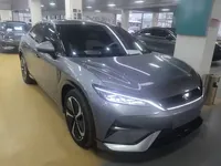 BYD Song L EV 2024 (4800 км)