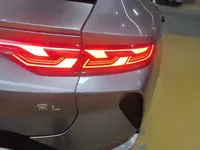 BYD Song L EV 2024 (4800 км)