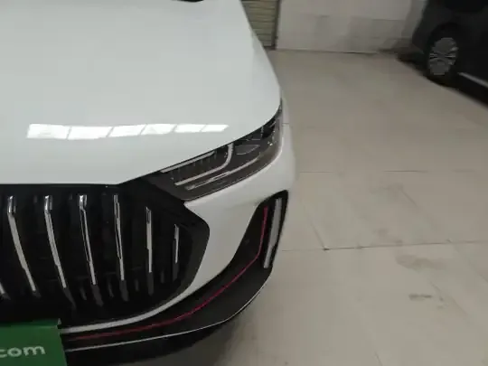Chery Tiggo 7 PLUS 2023 (6300 км)