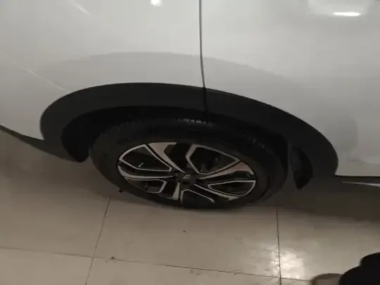 Chery Tiggo 7 PLUS 2023 (6300 км)