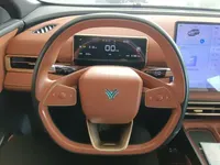 NETA X 2023 (51600 км)