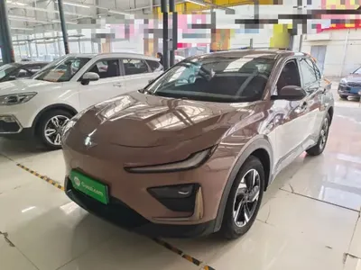 NETA X 2023 (60199 км)