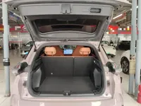 NETA X 2023 (60199 км)