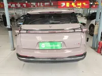 NETA X 2023 (60199 км)