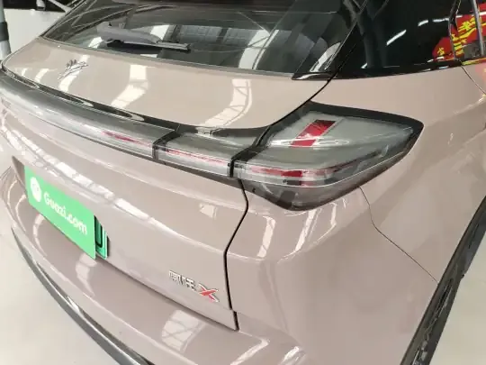 NETA X 2023 (60199 км)