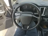 FORTHING Lingzhi 2023 (59200 км)