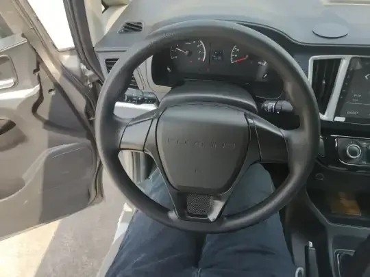 FORTHING Lingzhi 2023 (59200 км)