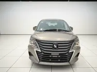 FORTHING Lingzhi 2023 (59200 км)
