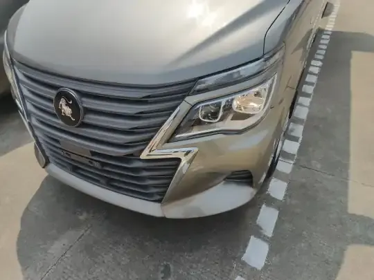 FORTHING Lingzhi 2023 (59200 км)