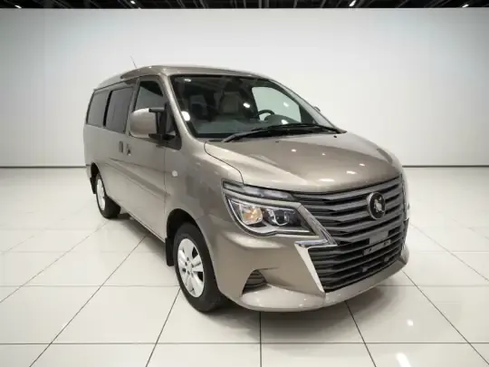 FORTHING Lingzhi 2023 (59200 км)