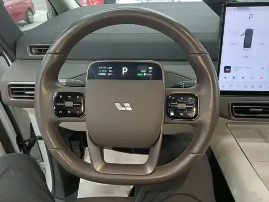 Li Auto MEGA 2024 (41500 км)