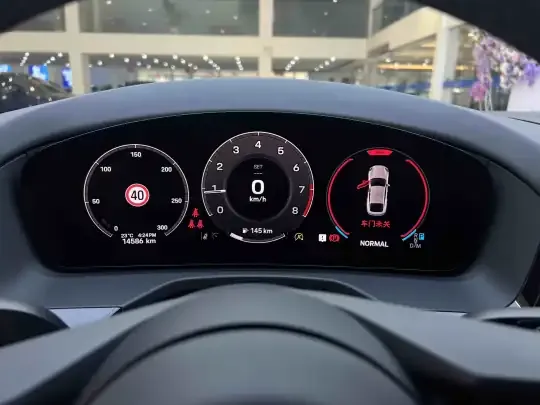 Porsche Panamera 2024 (14600 км)