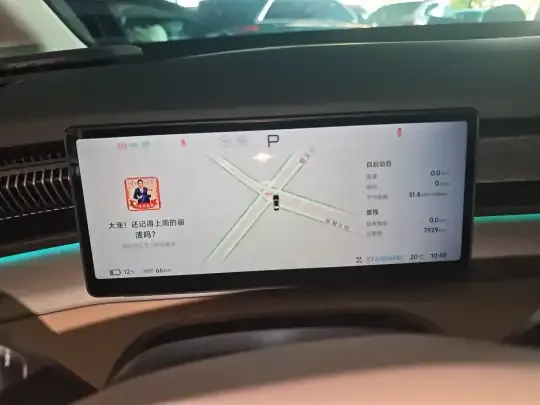 XPeng X9 2024 (66100 км)