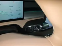 XPeng X9 2024 (66100 км)