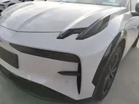 Zeekr X 2024 (5600 км)