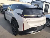 Zeekr X 2024 (5600 км)