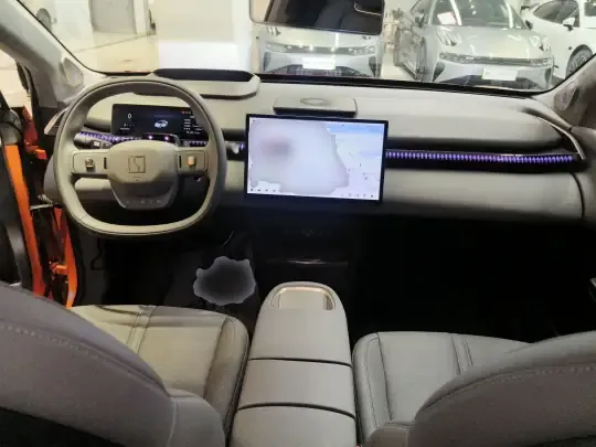 Zeekr X 2024 (13600 км)