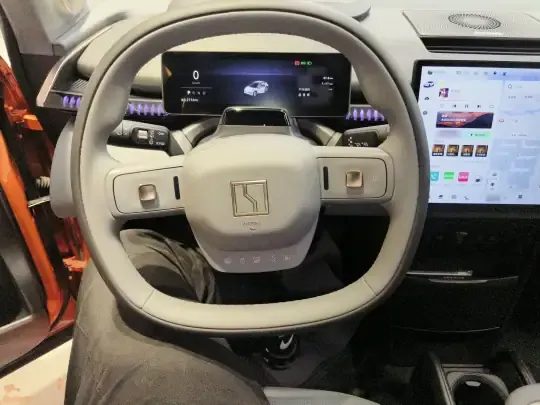 Zeekr X 2024 (13600 км)
